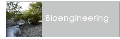 Bioengineering
