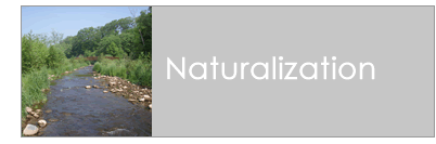 Naturalization