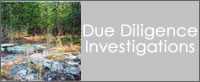 Due Diligence Investigations