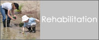 Rehabilitation