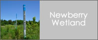Newberry Wetland