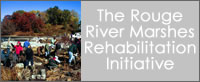 The Rouge River Marshes Rehabilitation Initiative