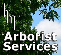 Arborist Services