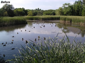 Tannery Pond Before