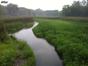 Tannery Pond After