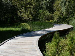 Boardwalk at East Humber Trail in Richmond Hill